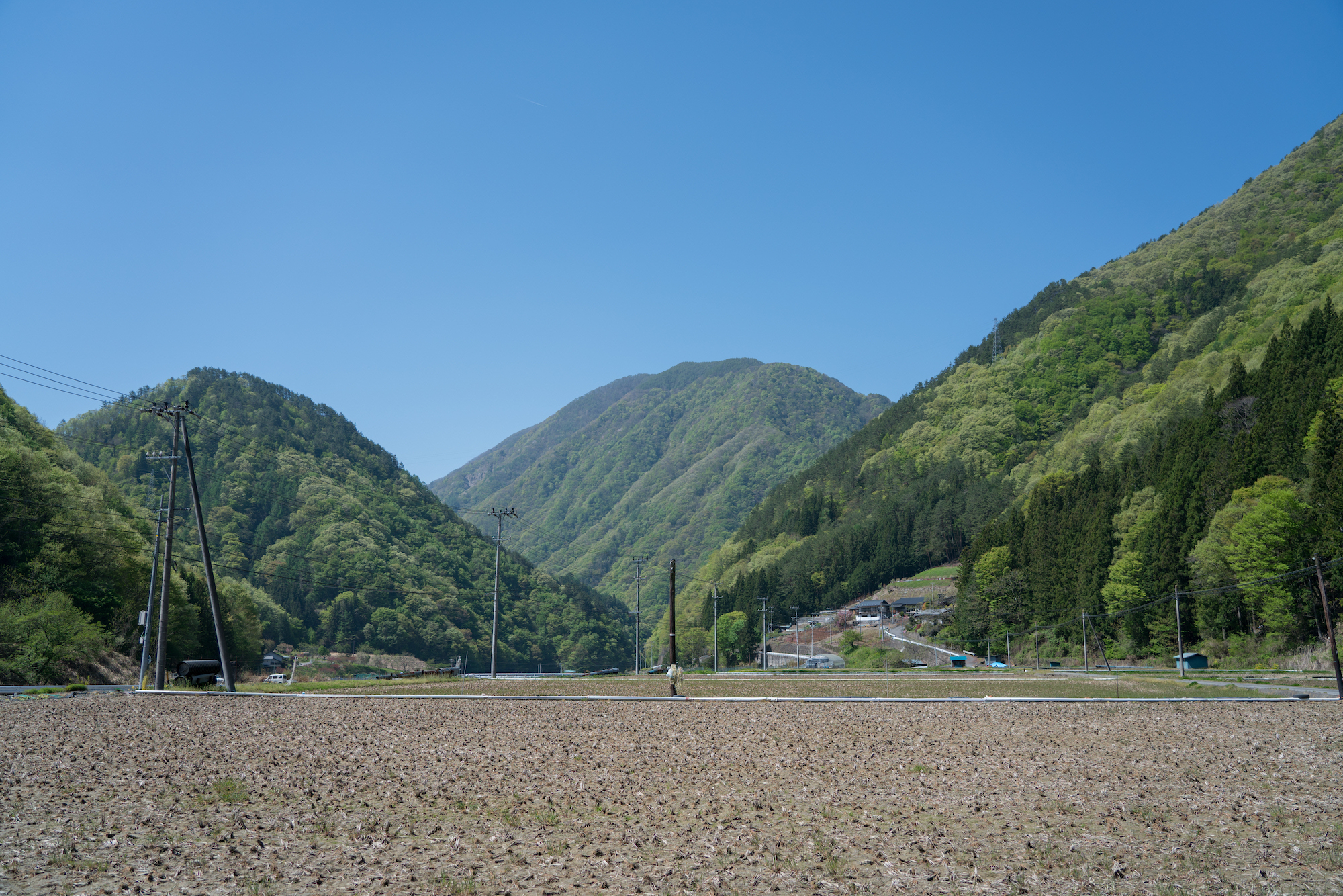 春の風景