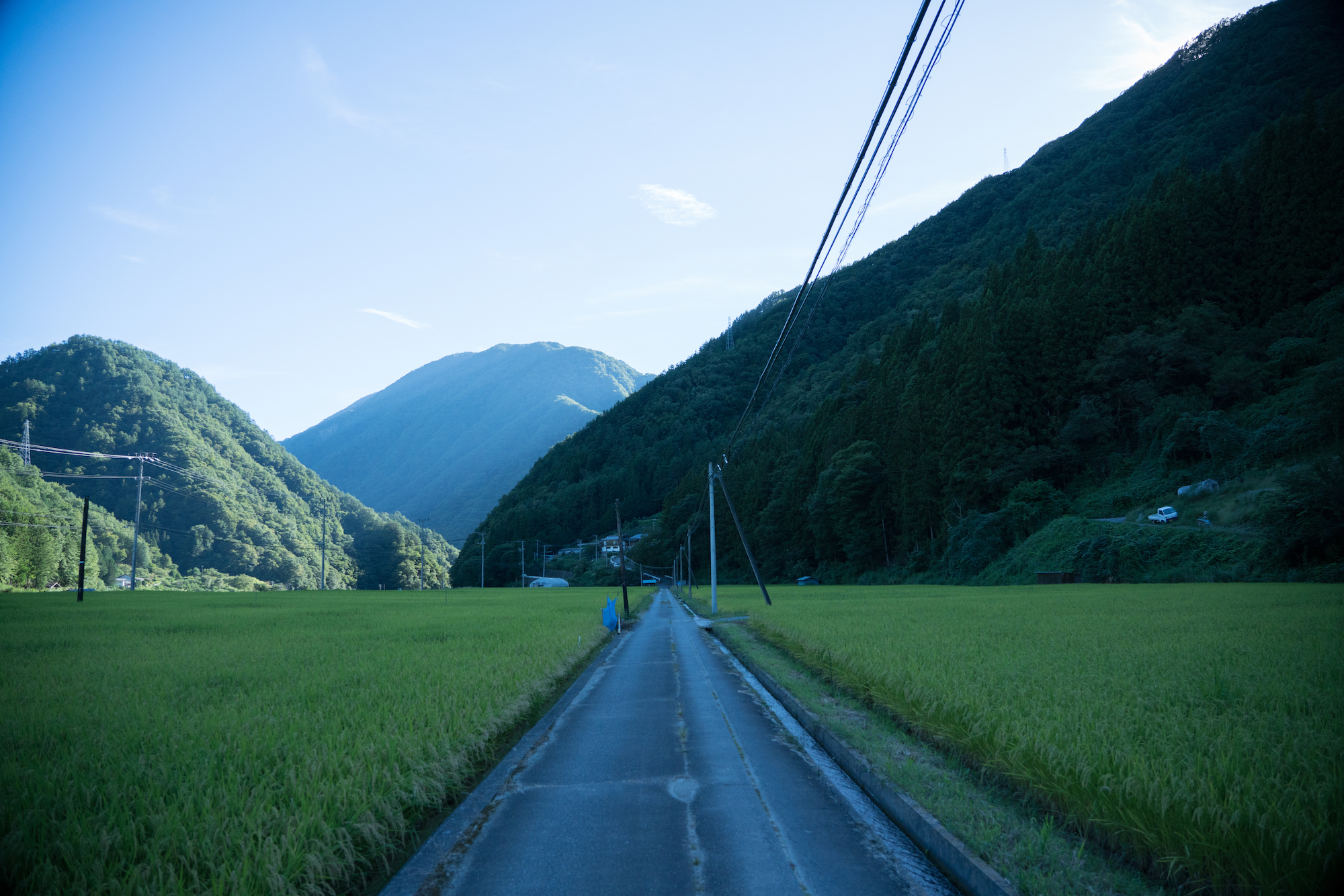 夏の風景