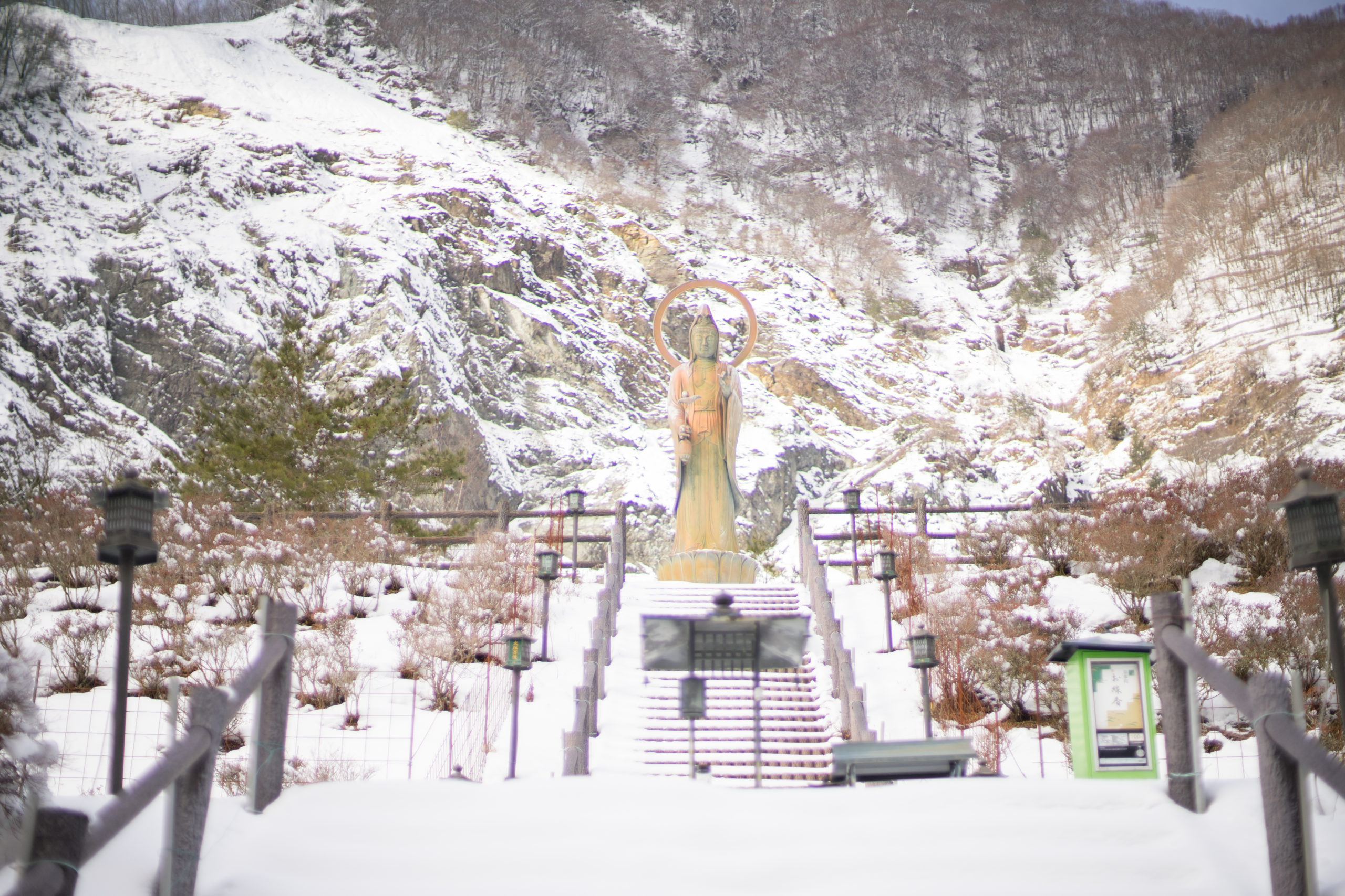 大西公園の冬景色
