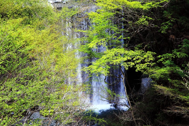 第8回フォトコンテスト入賞作品「初夏の二重奏」