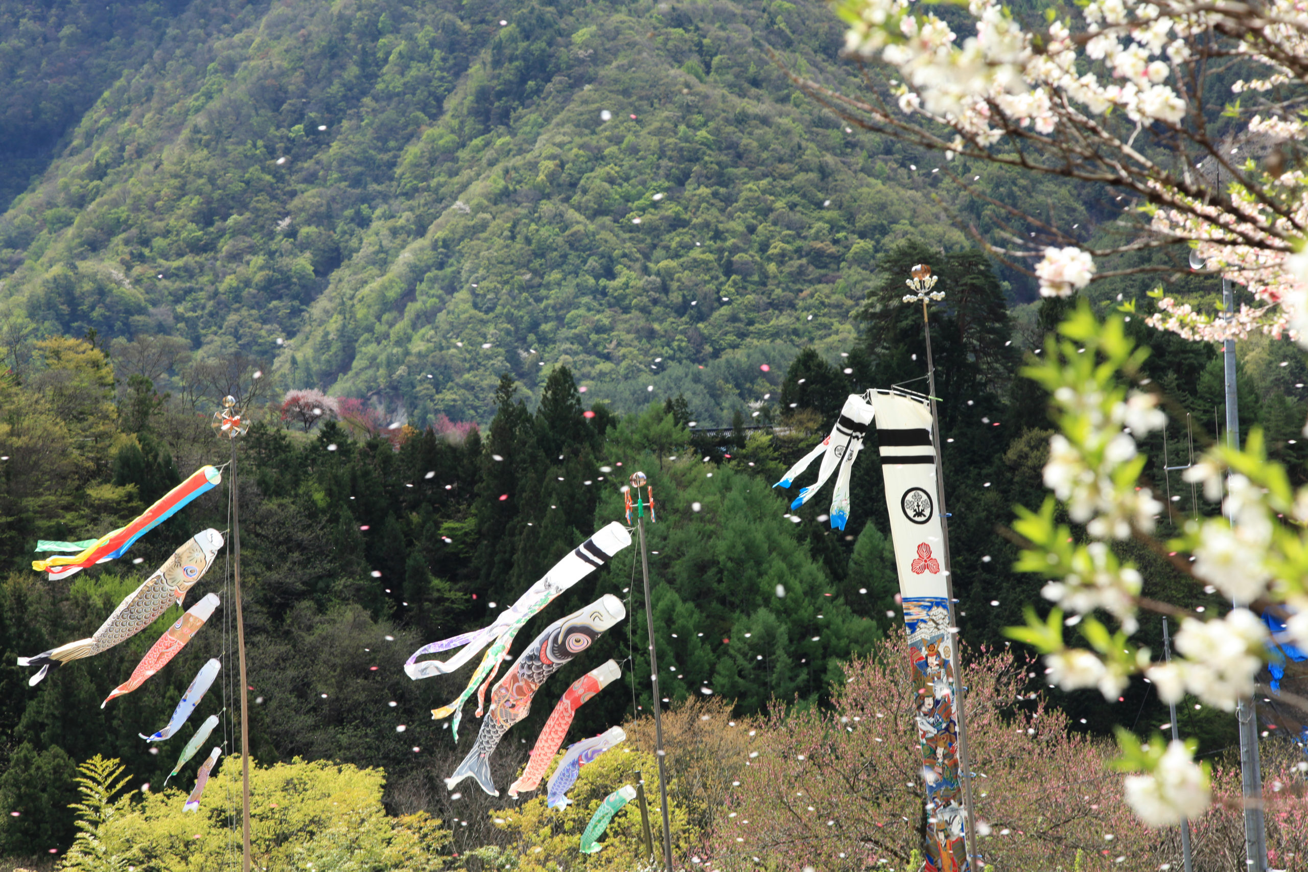 第4回フォトコンテスト入賞作品「風」